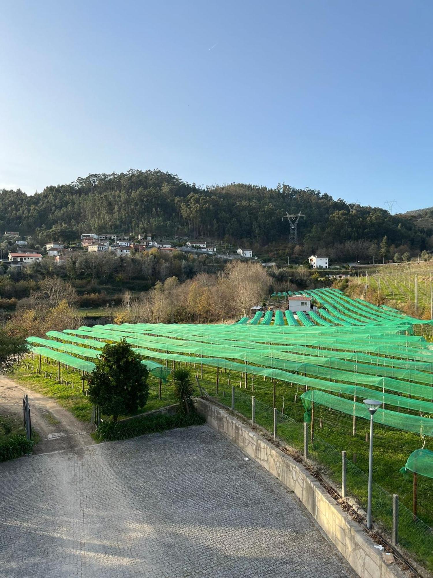 Funileiro, Apartamentos E Quartos Amares Exteriör bild